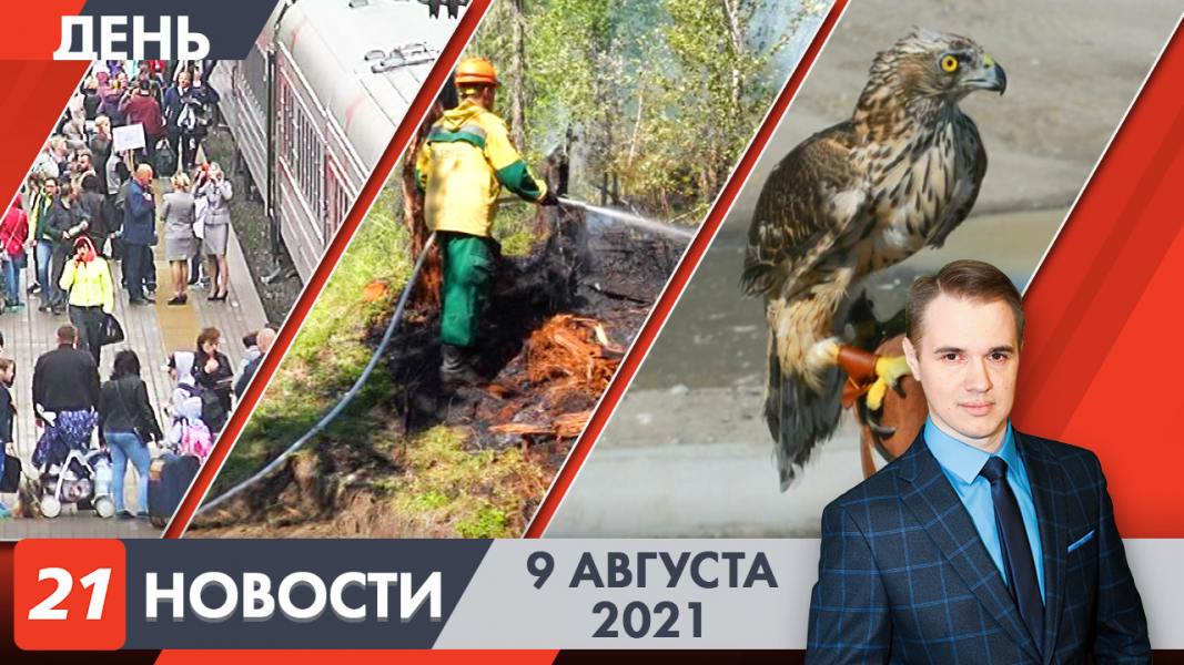 Дневные новости