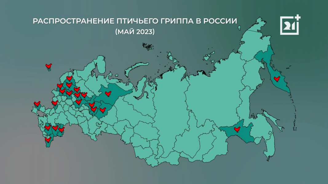 Опасный вирус из 2000-х угрожает Мурманской области Инфоргафика