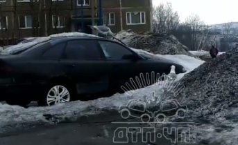 Чайка повредила автомобиль Парковка