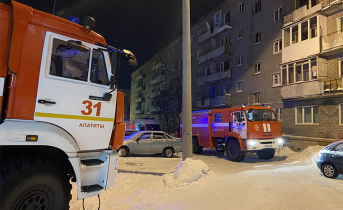 Из горящего дома в Мурманской области эвакуировали 12 человек МЧС