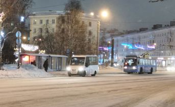 Во время рейда в общественном транспорте Мурманска нашли нарушителей Общественный транспорт