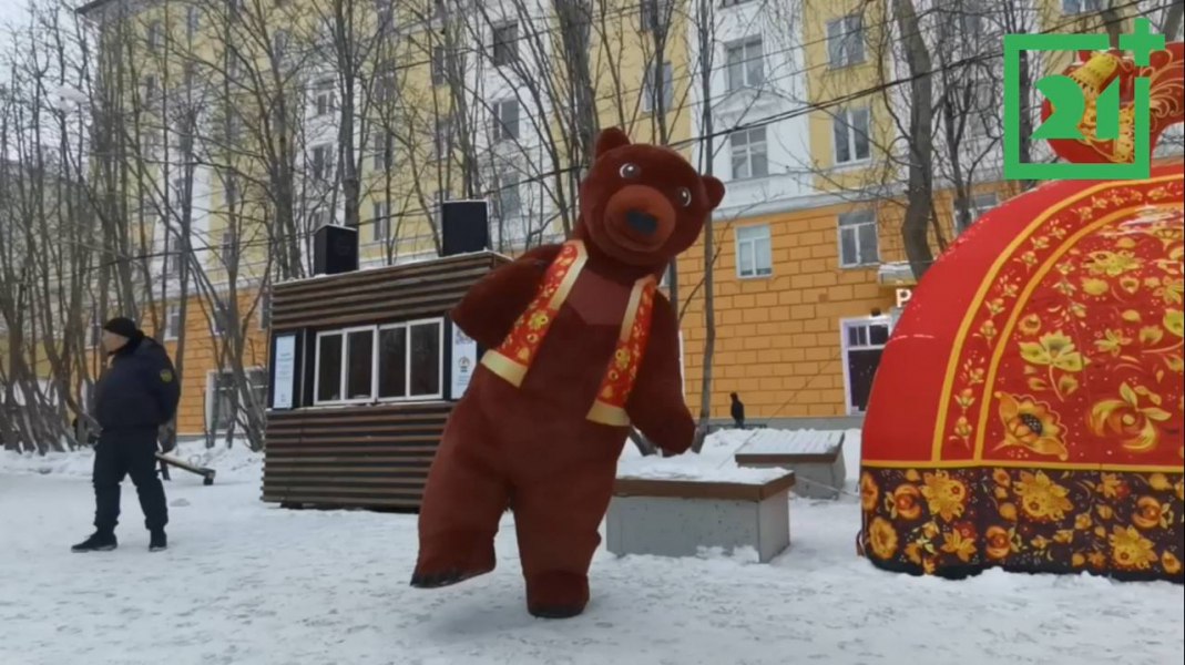 Медведь в Мурманске Медведь