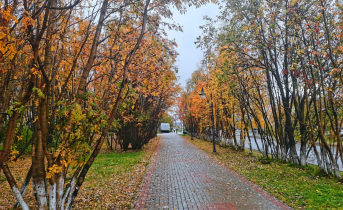 В Мурманской области наступила астрономическая осень Осень