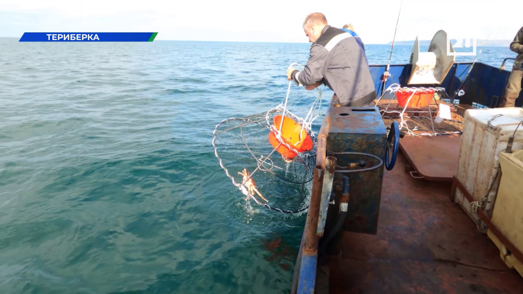 Необычное сафари стартовало в Мурманской области Море