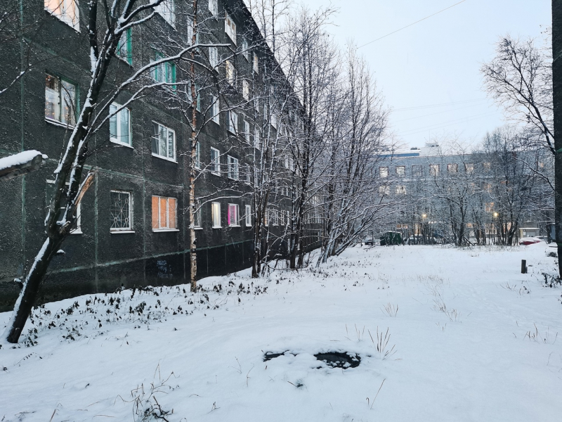 «Ситуация тревожная». В городе Мурманской области рассказали о заболевании свиным гриппом «Ситуация тревожная». В городе Мурманской области рассказали о заболевании свиным гриппом