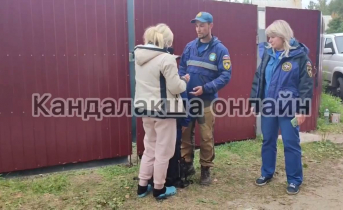 Стали известны подробности о поисках пропавшего мальчика в Мурманской области Пропавший мальчик