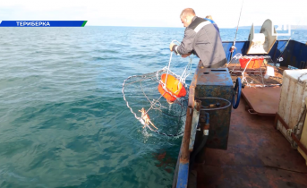 Необычное сафари стартовало в Мурманской области Море