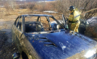 В Мурманской области дотла сгорел «ВАЗ» Пожар