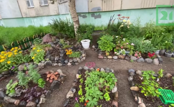 Красивый двор в Мурманске Палисадник