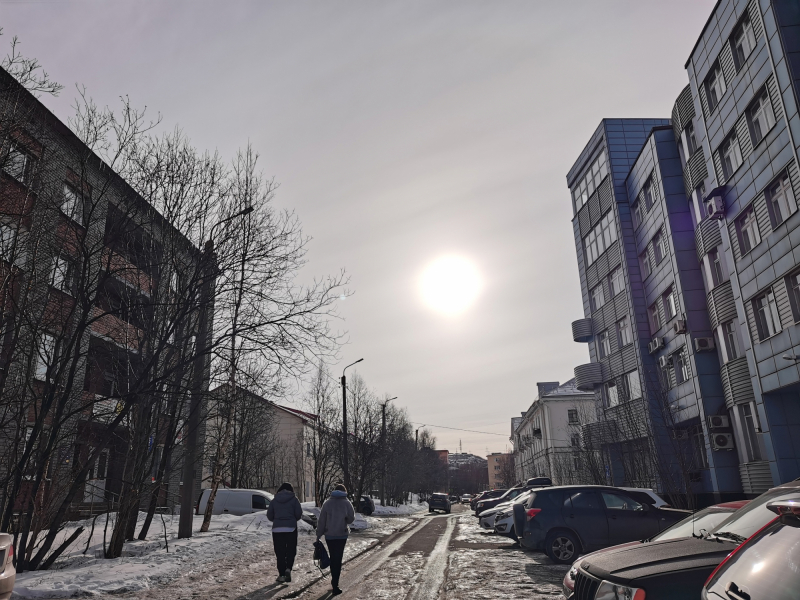 Полезную акцию проведут в учебных заведениях Заполярья Мурманск