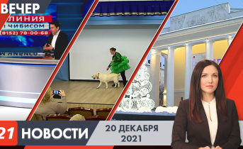 Вечерние новости