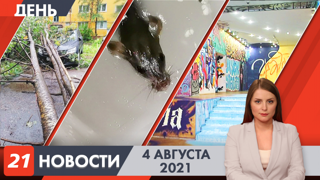 Полное видео программы «Дневные новости»