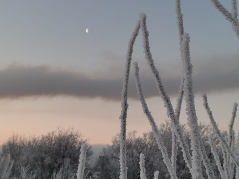 Снег