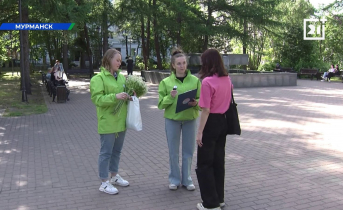 Стала известна праздничная программа в Мурманской области Волонтеры