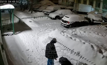 В центре Мурманска избили девушку Избиение