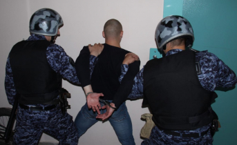 В мурманском магазине задержали серийного преступника Задержание