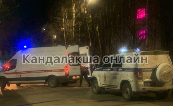 Соцсети: в Мурманской области сбили ребенка ДТП