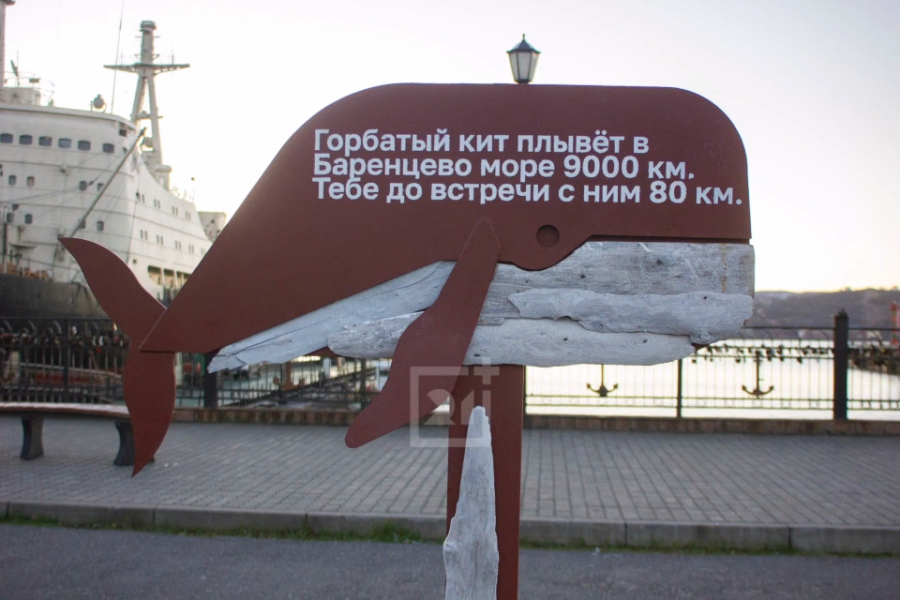 Кит
