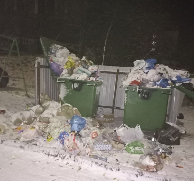 Стихийная свалка Мусор