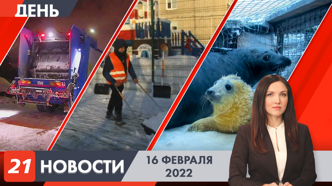 Дневные новости