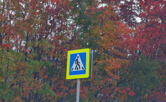 Пешеходный переход