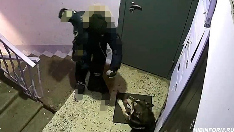 В Мурманской области проводится проверка после издевательства над животным Ребенок