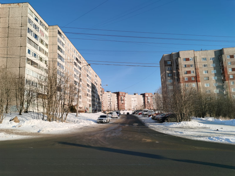 Крысы в мурманском дворе Мурманск
