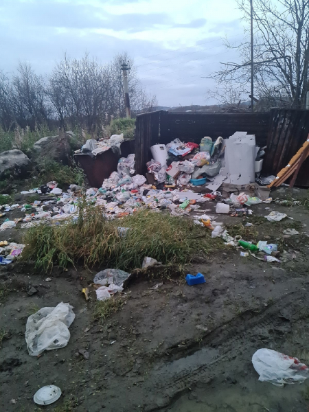 Северяне возмутились мусорной свалкой возле дома в Мурманской области Мусор