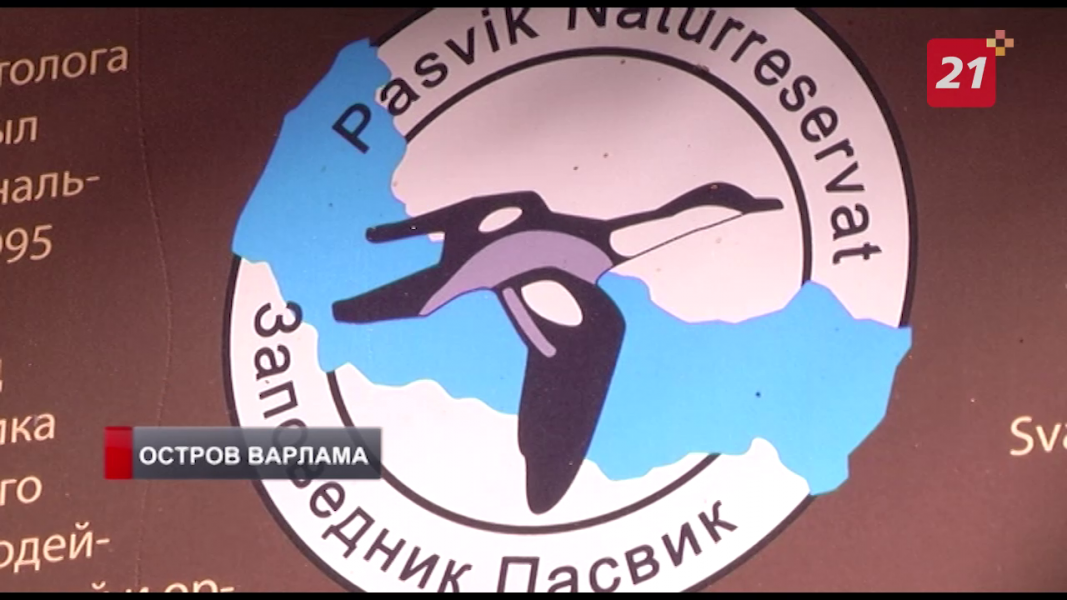 Пасвик