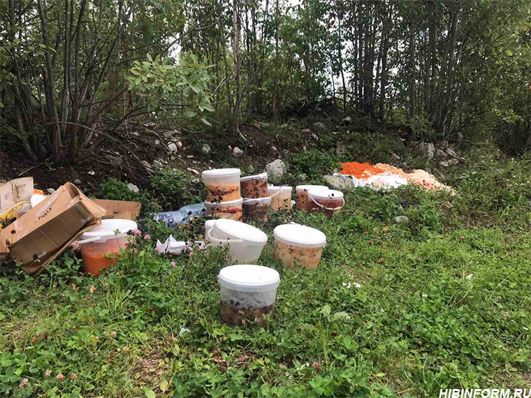 Свалка с продуктами в Мурманской области Мусор