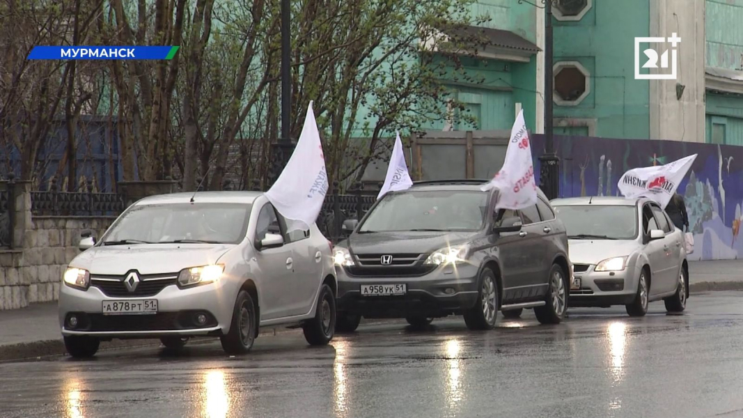 Боятся ли грозные байкеры иголок: в Мурманске прошла необычная акция Машины