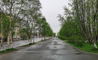 Инцидент в мурманском заведении Мурманск