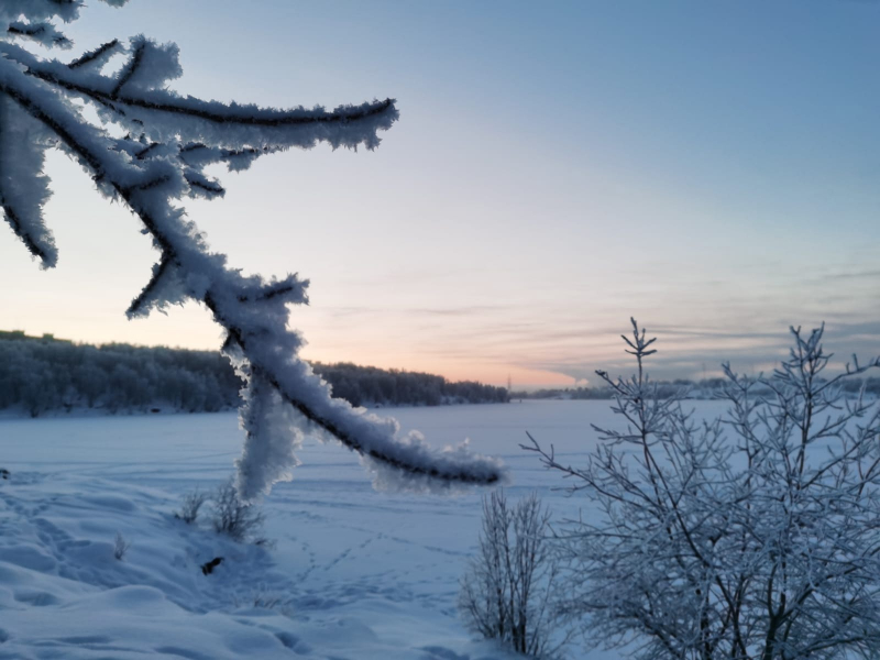 Морозы