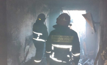 Стали известны подробности крупного пожара в Мурманской области Пожар