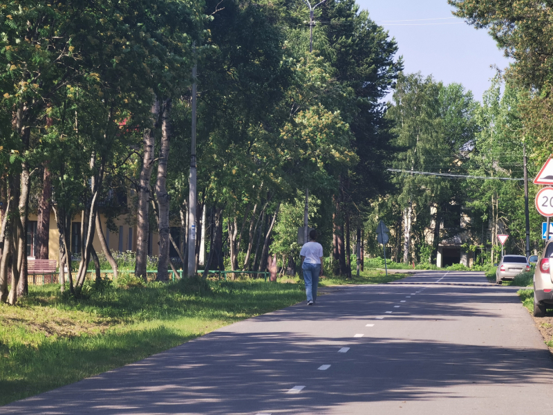 В Заполярье перекрыли дорогу Дорога