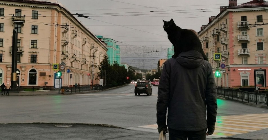 В центре Мурманска заметили мужчину с необычным «пассажиром»