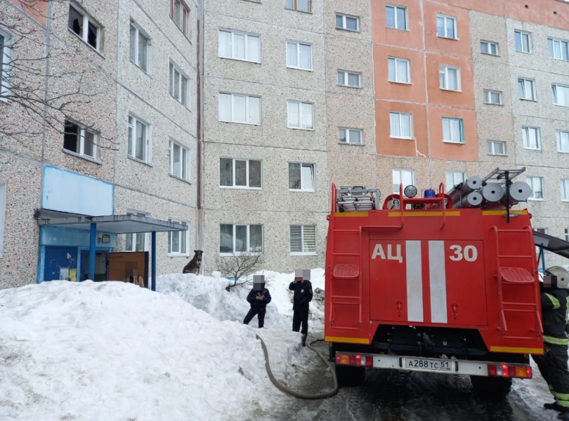 Пожар в Мурманской области Пожарные