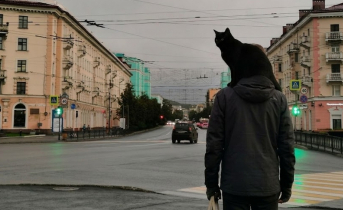 В центре Мурманска заметили мужчину с необычным «пассажиром» В центре Мурманска заметили мужчину с необычным «пассажиром»