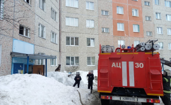 Пожар в Мурманской области Пожарные