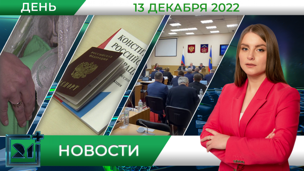 Полное видео программы «Дневные новости»