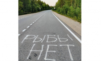 «Рыбы нет». Новая «достопримечательность» появилась на дороге в Мурманской области Дорога