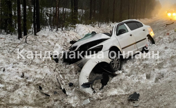 Три человека погибли при лобовом столкновении на трассе в Мурманской области ДТП