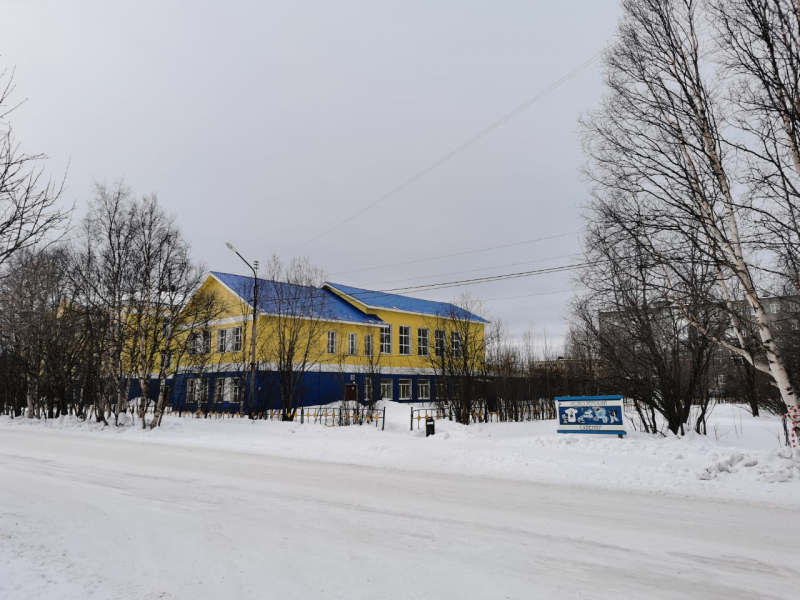 В Мурманской области в мусорный контейнер выбросили щенка Ловозеро