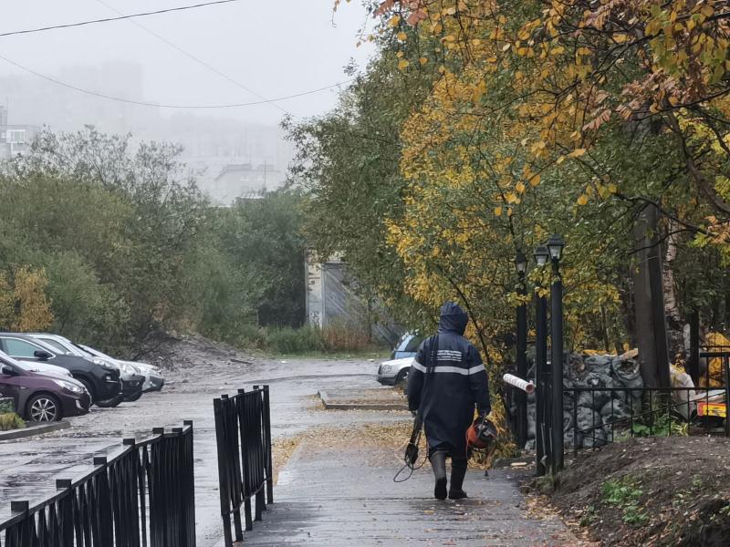 В Мурманской области будет тепло и туманно Улица