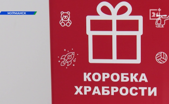 В Мурманской области завершилась необычная акция В Мурманской области завершилась необычная акция