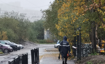 В Мурманской области будет тепло и туманно Улица