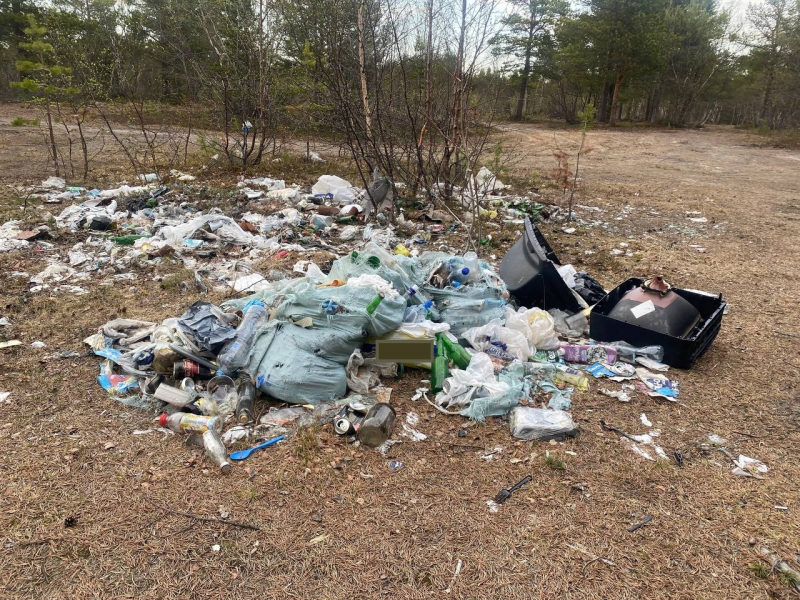 «Невероятная наглость». Северяне устроили свалку в лесу Мурманской области Свалка
