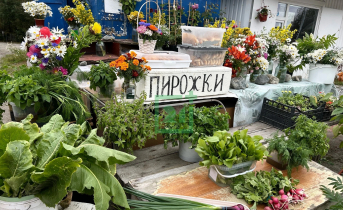 Придорожный рынок вызвал настоящий ажиотаж среди северян Овощи