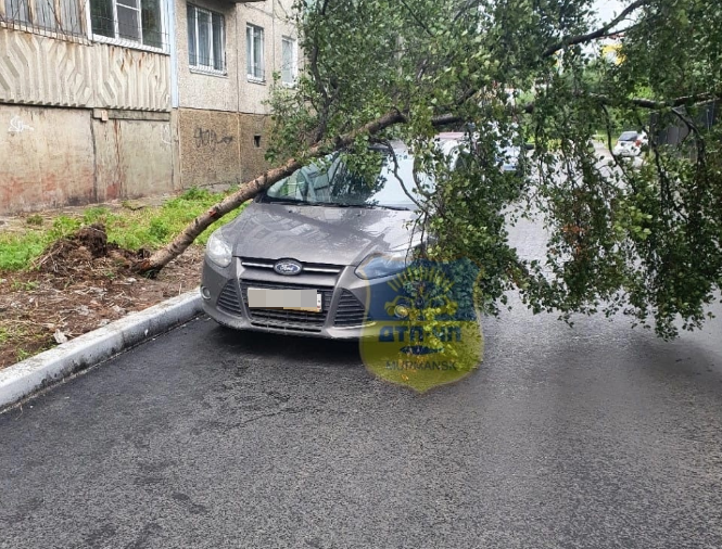Водителя в Мурманске ждет неприятный сюрприз Машина
