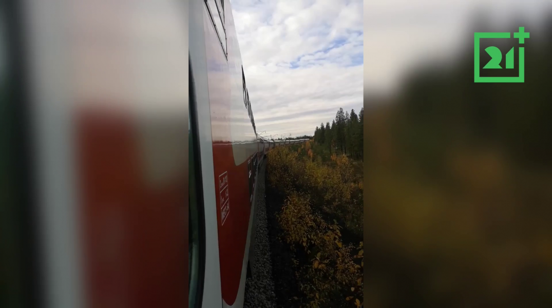 Вагоны